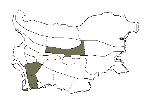 Map of distribution in Bulgaria of Scutellaria alpina Scutellaria alpina
